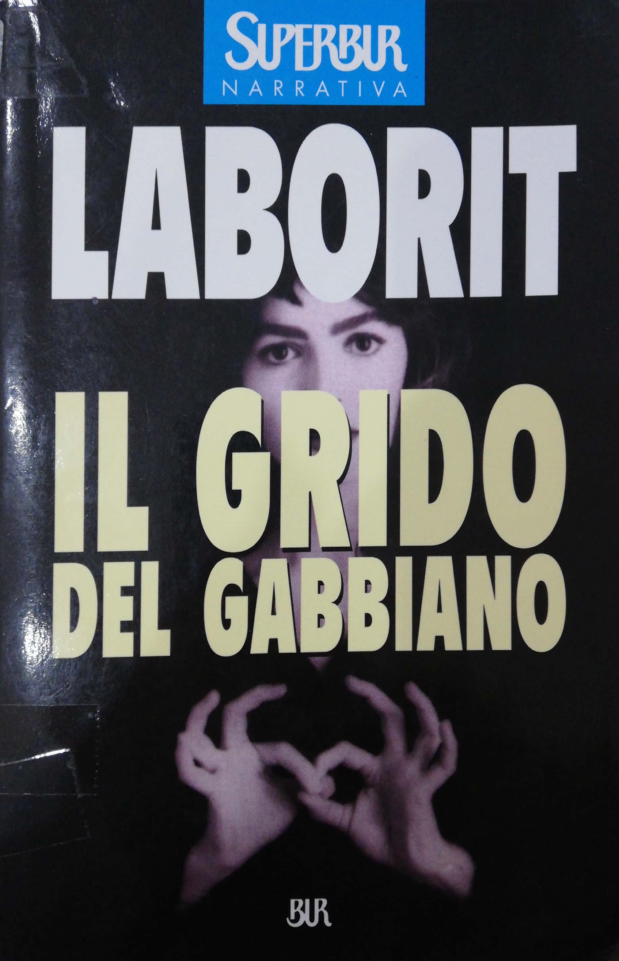 IL GRIDO DEL GABBIANO